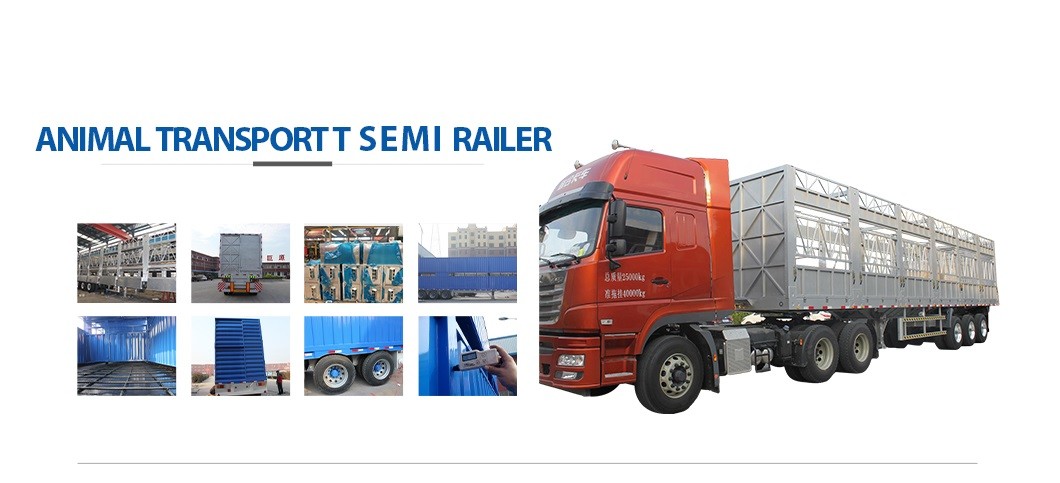 Qualität Semi-Trailer mit niedrigem Sattel usine